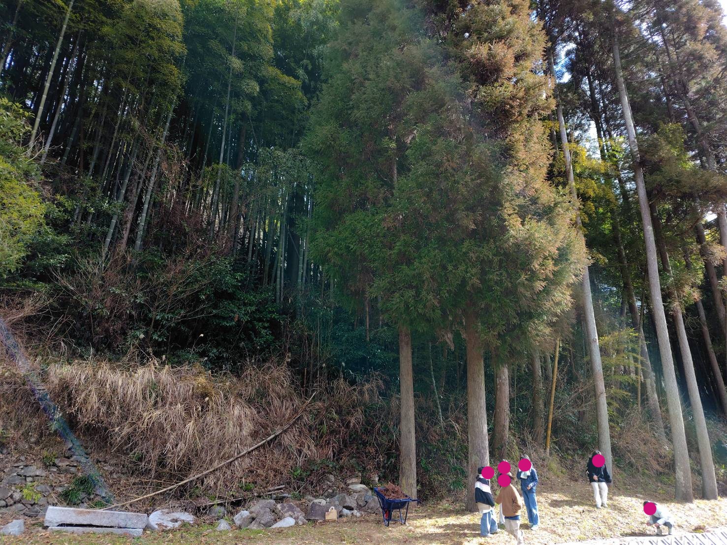 tumugi1